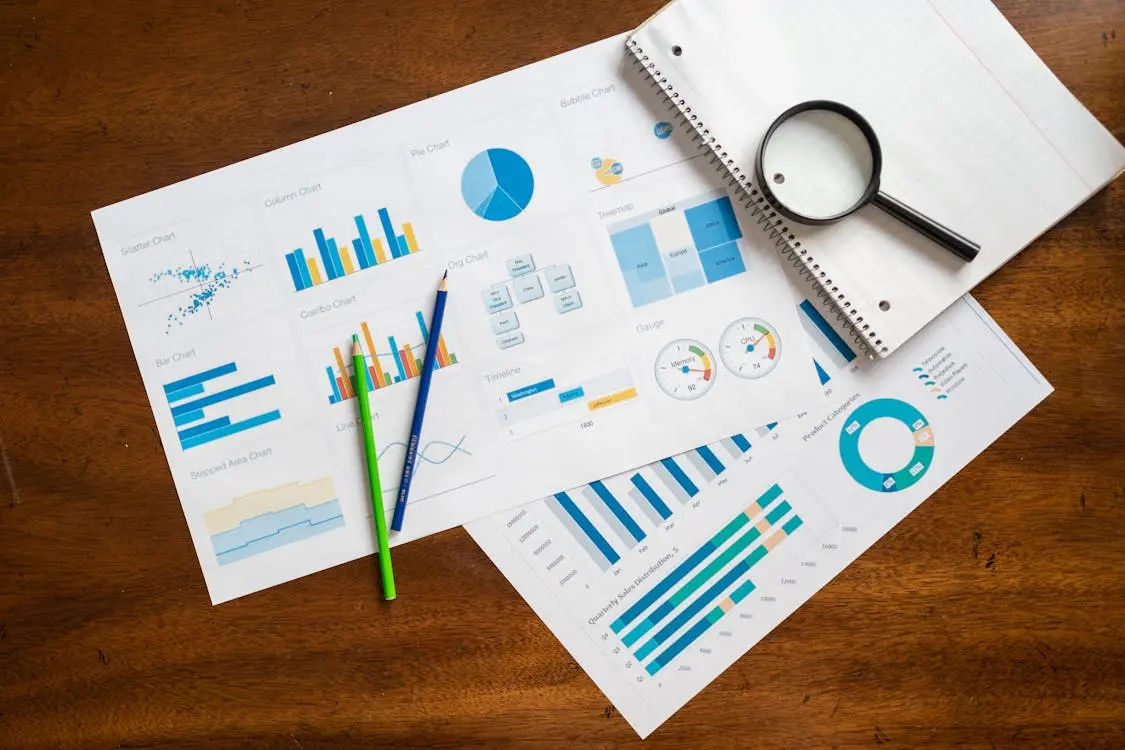 Portfolio Managment services